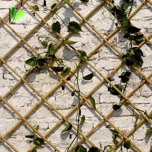 Paneles de Cercado de Bambú para Jardín, Grandes y de Alta Calidad, con Conectores de Ramas, Ecológicos, Resistentes al Moho y Renovables - Product Image 4