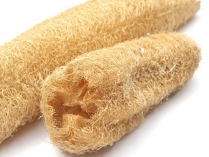 Suministro al por mayor de esponja vegetal de todos los tamaños, sin productos químicos, ideal para belleza sostenible, limpieza del hogar y uso en Spa VIET FARGIMEX - Product Image 6