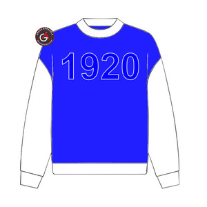 Sudadera con capucha de parafernalia bordada de hermandad de mujeres Zeta Phi Beta griega personalizada - Product Image 1