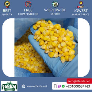 Maíz dulce congelado de calidad premium natural 100% a granel exportado a Egipto, mercado mayorista, precio competitivo suministrado - Product Image 3