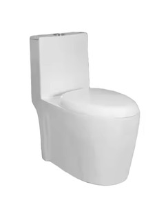 Vente chaude 1 pièces toilette éthiopie populaire Golden Dragon Water Closet S-trap siège de toilette monobloc pour Ehiopia - Product Image 1