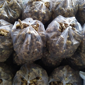 Raíz de jengibre fresco a granel al mejor precio del proveedor de Vietnam Bao Tram Anh Top Agriculture Product - Product Image 3