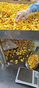 Chips de jacquier séchées de haute qualité chips de jacquier séchées croustillantes et dorées collation à saveur naturelle douce - Product Image 2