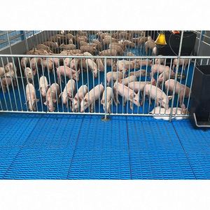 Gran oferta, excelente jaula de parto para cerdas de granja de cerdos moderna y cómoda - Product Image 2