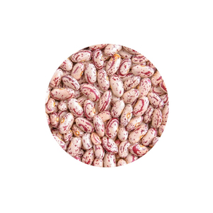 Natural sugar <b>beans</b> in stock for global shipment and trade - Product Image 6