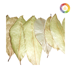 Feuille de corossol séchée biologique/Graviola/Feuilles de Guanabana, 100% naturelle, pure, feuille organique du Viet Nam par 99 données d'or - Product Image 5