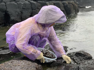 หม้ออบแห้งสาหร่ายสีดำอบแห้งทำให้แห้งโลโก้ฉลากตามสั่ง - Product Image 5