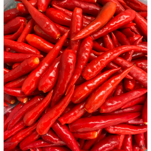 Chili frais à bas prix Chili congelé boisson alimentaire Service après-vente agricole fabriqué au Vietnam Fabricant - Product Image 3