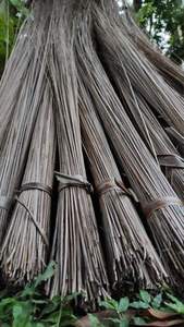 ไม้กวาดมะพร้าวจากเวียดนาม-ผลิตภัณฑ์ชั้นนำ2023ขายจำนวนมากสำหรับทำความสะอาดบ้าน - Product Image 3