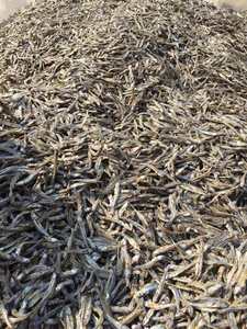 Anchoa seca de grado marisco de Vietnam a granel para los mercados globales de aperitivos - Product Image 3