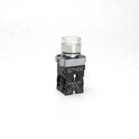 Interrupteur industriel entièrement éclairé RY-XB2-11D 22mm à bouton surélevé, auto-réinitialisable, 1NO1NC, 10A max, IP65, IK08, CE, RoHS, 220V/440V
