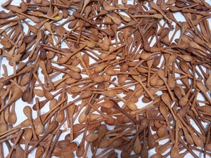 ชามมะพร้าวและช้อนทำจาก100% ธรรมชาติทำด้วยมือโลโก้ตามสั่ง - Product Image 3