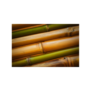 Tubo de postes de bambú natural para diseño de interiores y fines decorativos Elección ecológica de Vietnam - Product Image 2