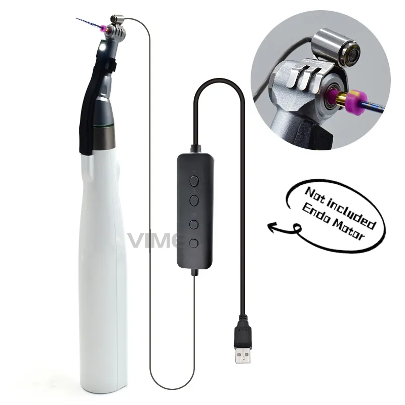 Endoscopio dentale portatile compatto facile da installare Micro fotocamera Intra-orale connessione USB per clinica di laboratorio odontoiatrico