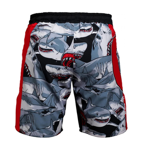 2021 oem pakistan usine professionnel en gros en vrac personnalisé sublimé mma combat shorts - Product Image 3