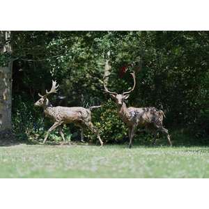 Escultura de Reno grande, decoración navideña para el hogar, renos de bronce, accesorios para exteriores, esculturas decorativas de ciervo de bronce antiguo - Product Image 3