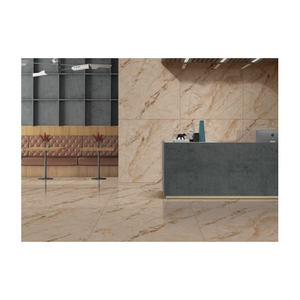 Collection de carreaux brillants modernes du fournisseur fiable, qualité standard pour la cuisine, le jardin, la salle de bain, l'extérieur et l'intérieur. - Product Image 2