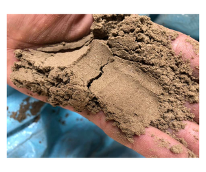 ผงกะลามะพร้าวสีน้ำตาลพรีเมียมจากซัพพลายเออร์เวียดนาม - บดละเอียดสม่ำเสมอสำหรับการแปรรูปทางการเกษตรและผงผสมดิน - Product Image 3