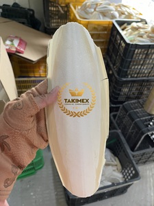 Os de seiche séchés et taillés en vrac, os blancs de seiche - Product Image 5