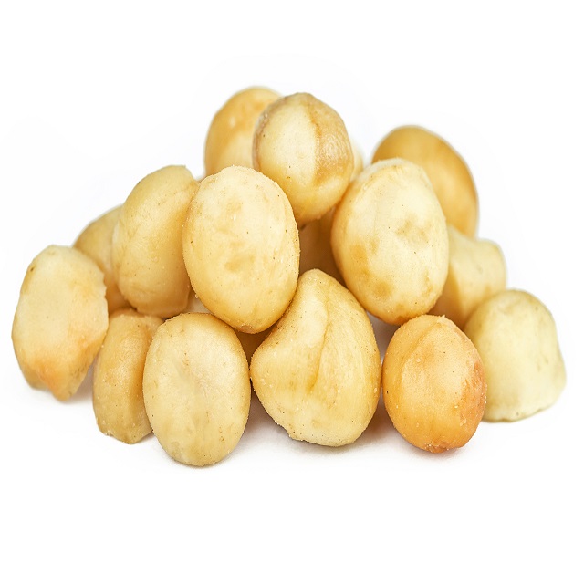 Wholesale Large Volume Fresh Macadamia Nuts From Vietnam Superior Quality Raw Food in Stock Best Price Fast Shipping