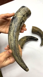 ฮอร์นควายดิบแท้วัสดุเป็นมิตรกับสิ่งแวดล้อมสำหรับสัตว์แกะสลักงานฝีมือตามสั่งงานฝีมือตามธรรมชาติ - Product Image 2