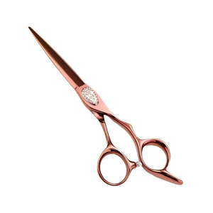 Tijeras profesionales de peluquería de 5,5 a 6 pulgadas al por mayor, hoja de acero inoxidable, material de peluquero J2, tijeras de corte de pelo - Product Image 1