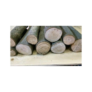 68. 	   Mejor Producto - Construcción en Madera de Haya - Troncos Redondos de Madera en Venta - Exportación de Madera Aserrada de Haya - Product Image 2