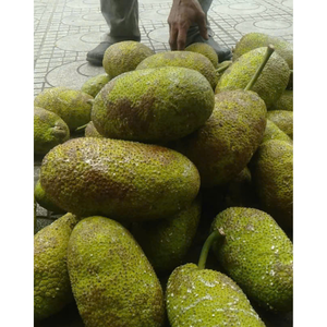 Corossol congelé doux et sucré disponible dans un emballage en vrac parfait pour la transformation des aliments, les smoothies et les sorbets - Product Image 5