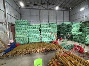 Manche de balai durable fabriqué au Vietnam, finition en bois lisse, pointe filetée standard, idéal pour un usage domestique et commercial. - Product Image 5