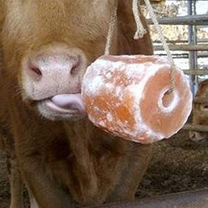 Bloc de sel de vache de l'Himalaya naturel de haute qualité, forme cubique, à suspendre sur une corde, pour l'alimentation des chevaux et des chiens - Product Image 5