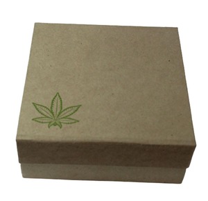 Recycled Cotton Handmade Paper With The Fresh Green Leaves Impressions All Around The Paper Matching Cotton String Handles Bag - Product Image 1