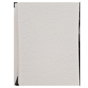 Pulpa de Madera Blanqueada Químicamente para Reciclaje de Papel, Mejora de la Calidad de Mezcla - Product Image 5