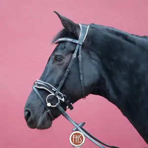 En kaliteli-deri dizgin-anatomik Patent deri Noseband-çok renkli dalga kaş bandı