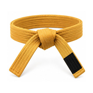 Cinturón de Karate de Artes Marciales de Alta Calidad y Material Duradero, Diseño Profesional, Hecho en Pakistán - Product Image 2