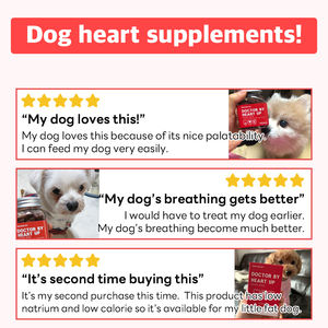 Dog Vitamine DR.BY HEART UP 70 Chews Heart Health Dog Health Gestión de la inmunidad Gestión de la respiración Nutrición de mascotas - Product Image 6