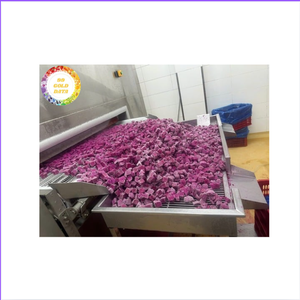 Fruta de dragón congelada, auténtica fruta tropical, fuente de Vietnam, adecuada para la producción de jugo, batidos para cubrir alimentos - Product Image 3