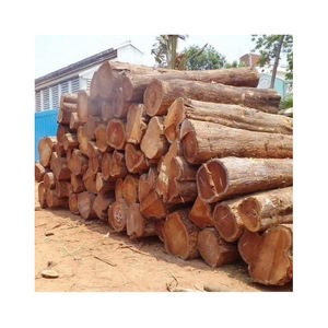 Pine Wood <b>Logs</b> Bulk for Timber Raw Materials Cheap Pine Wood <b>Logs</b> Timber Wood <b>Logs</b> Top Quality Kiln Dried Firewood - Product Image 4