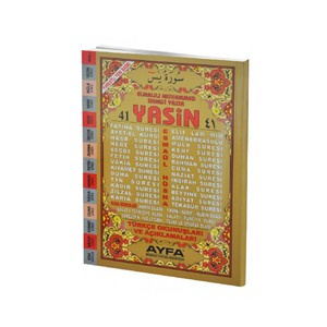 Altavoz Impermeable con Pronunciación Árabe Turca Yasmin-I Sharif, Tamaño de Escritorio 41, Control Táctil Remoto, USB, Traducción al Turco - Product Image 4