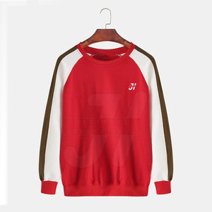 Vente chaude Hommes Hiver Pull Sweat Haute Qualité Polyester/Coton Solide Motif Logo Personnalisé Imprimer Sweat À Capuche Style - Product Image 1