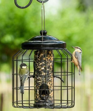 ตามที่แสดง