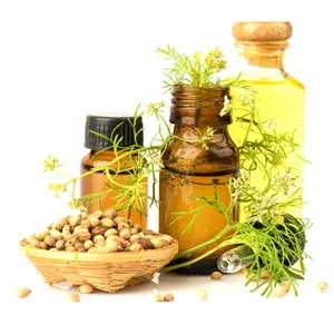 Private Label Coriander Seed Essential Oil for Soap and Perfume making Pharma Use Essential oil for Enhancing Memory
