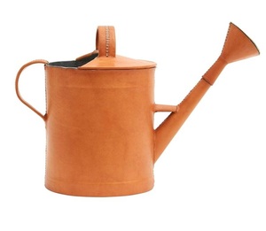 Bidon d'eau galvanisé en métal de vente Offre Spéciale en couleur verte arrosoir de luxe décoratif de jardin de la meilleure qualité - Product Image 4