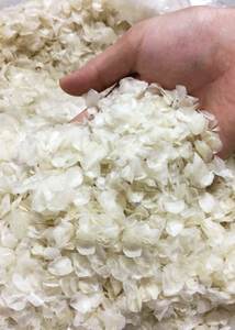 เกล็ดปลาเวียดนาม - วัตถุดิบที่เหมาะสำหรับการสกัดคอลลาเจนและเจลาติน - Product Image 4