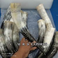 Corne à boire Viking authentique pour la bière corne polie gravée de haute qualité de boeuf/vache, corne naturelle fabriquée en agate par M R S EXPORTS