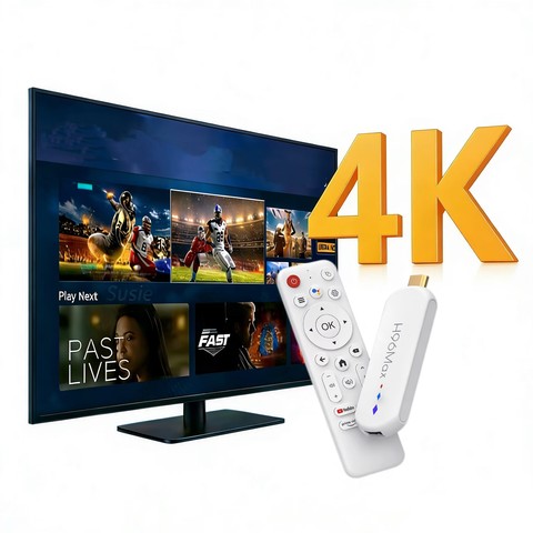 Roku Player Pick #20 (883488)