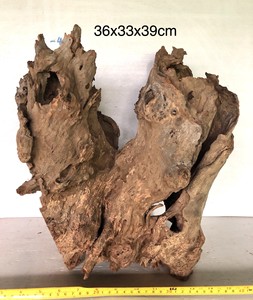 ตอไม้ดพื้นกลวง - Product Image 4