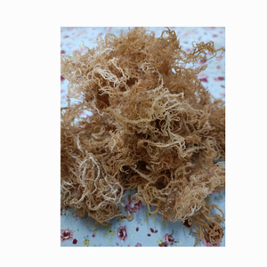 สาหร่าย Eucheuma cottonii สาหร่ายทะเลธรรมชาติไม่เค็มแห้งสำหรับทำสลัดและสมูทตี้ - Product Image 1