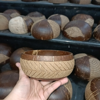 Set Mangkuk dan Sendok dari Kulit Kelapa Alami Buatan Tangan Grosir - Ramah Lingkungan untuk Penggunaan Rumah Tangga, Biodegradable, Buatan Vietnam, Merek Eco2go