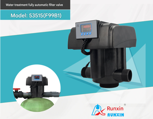 Vannes de filtration automatiques F99B1 RUNXIN, vanne de recirculation automatique - Product Image 3