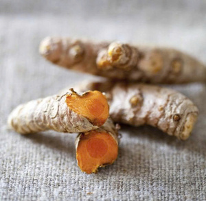 Vous cherchez à importer le curcuma séché en vrac? Le Vietnam est votre meilleure source de qualité et de prix. - Product Image 2
